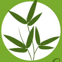 Calendly profile picture for @bamboo
