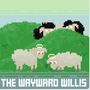Calendly profile picture for @wayward