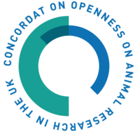 Calendly profile picture for @openness