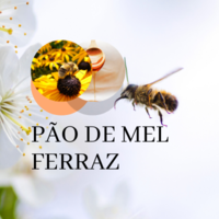 Calendly profile picture for @paodemel