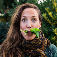 Calendly profile picture for @herbal
