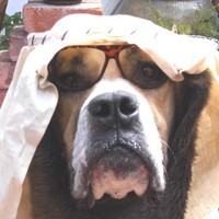 Calendly profile picture for @anarchy