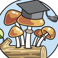 Calendly profile picture for @fungi