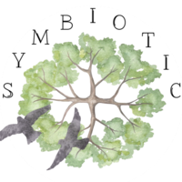Calendly profile picture for @symbiotic