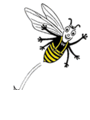 Calendly profile picture for @wasps