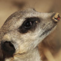 Calendly profile picture for @secu