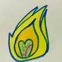 Calendly profile picture for @torches