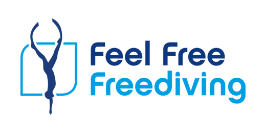 Equalization checkup - Leon Jansen